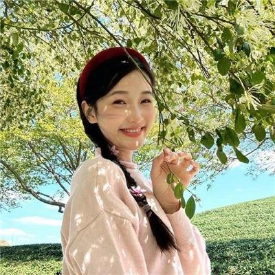桃花泣血记 海报